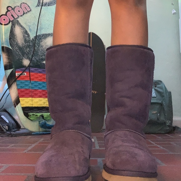 NEW PURPLE UGGS! - Picture 4 of 4